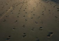 Featured image for Sand in Everything! Beach Problems You Never Expect