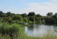 Featured image for Noisy Beach Games: Finding a Peaceful Spot