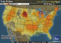Featured image for Camping with Allergies: Dealing with Outdoor Irritants