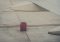Featured image for Lost Luggage: Recovering Belongings During Travel