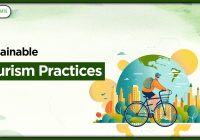 Featured image for Ethical Dilemmas: Responsible Tourism Practices