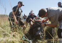 Featured image for Wildlife Woes: Protecting Endangered Species