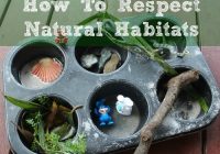 Featured image for Wildlife Woes: Respecting Animal Habitats